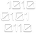 1010-0101-0110